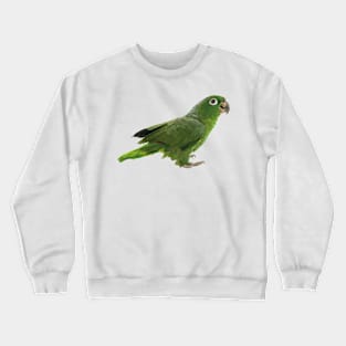 blue-crowned parrot Crewneck Sweatshirt